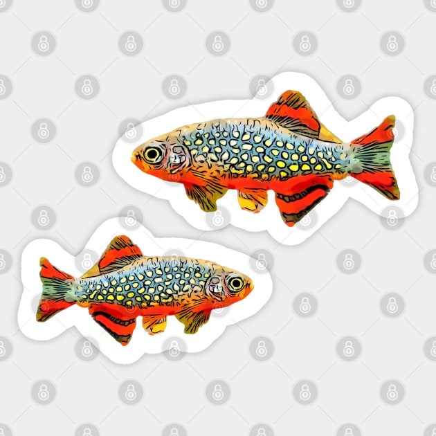 Celestial Pearl Danios Sticker by Zurick Designs